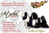 Tibetan Terrier Club of America